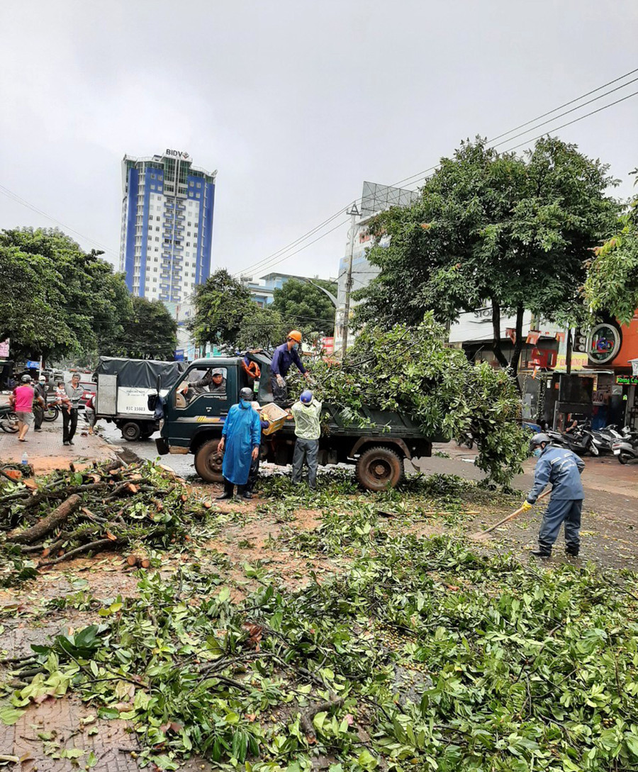 Cây xanh trên đường Đinh Tiên Hoàng bị ngã ra lòng đường. Ảnh: Hồng Thương