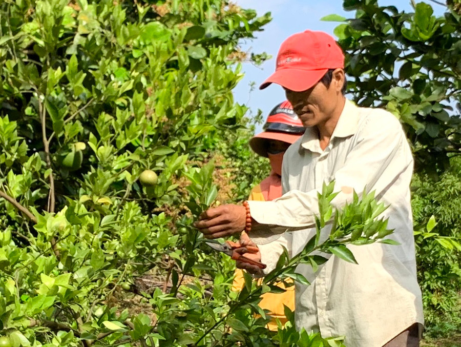 Sở Khoa học và Công nghệ sẽ hỗ trợ các doanh nghiệp, hợp tác xã cũng như người dân có nhu cầu bảo hộ, phát triển tài sản trí tuệ. Ảnh: Hà Duy Sở Khoa học và Công nghệ sẽ hỗ trợ các doanh nghiệp, hợp tác xã cũng như người dân có nhu cầu bảo hộ, phát triển tài sản trí tuệ. Ảnh: Hà Duy