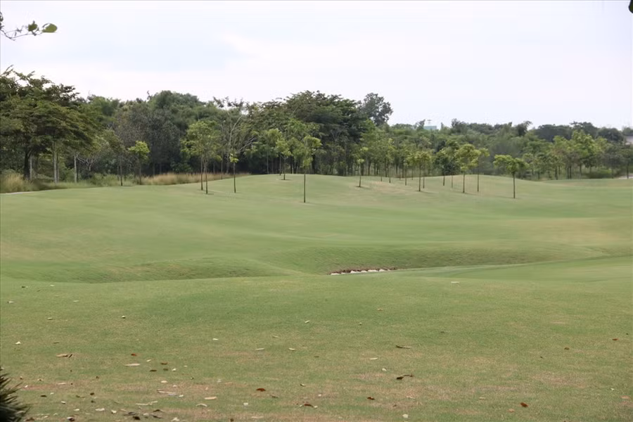 Sân golf thuộc khu đất 145ha. Ảnh: Dương Bình