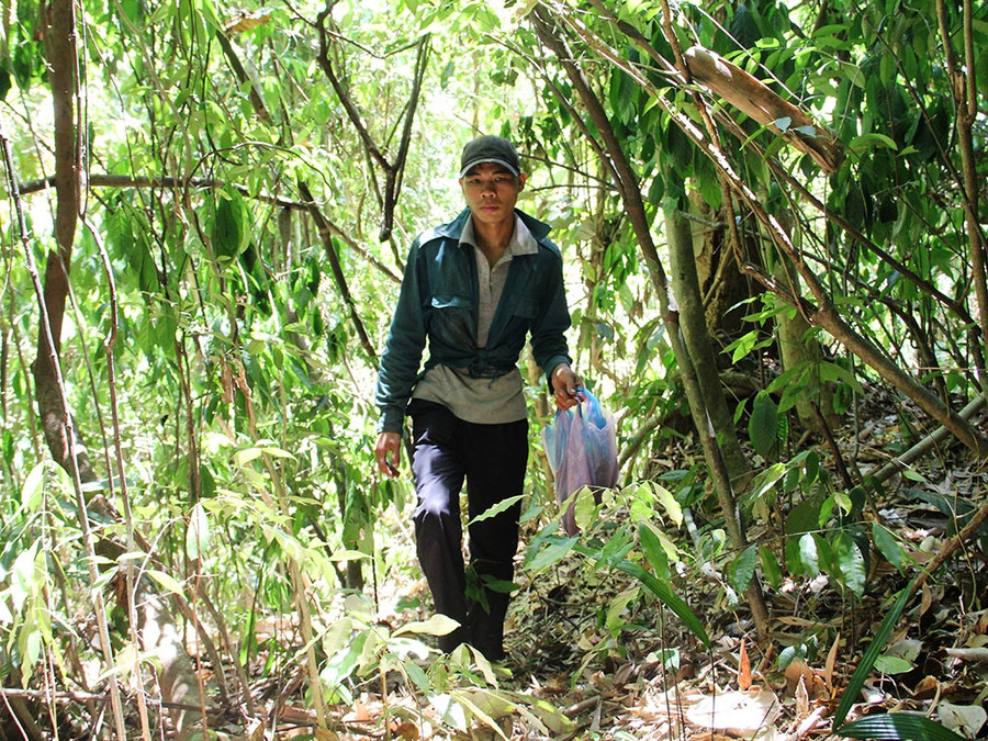 Hồ Văn Hà đang đi tìm lượm ươi