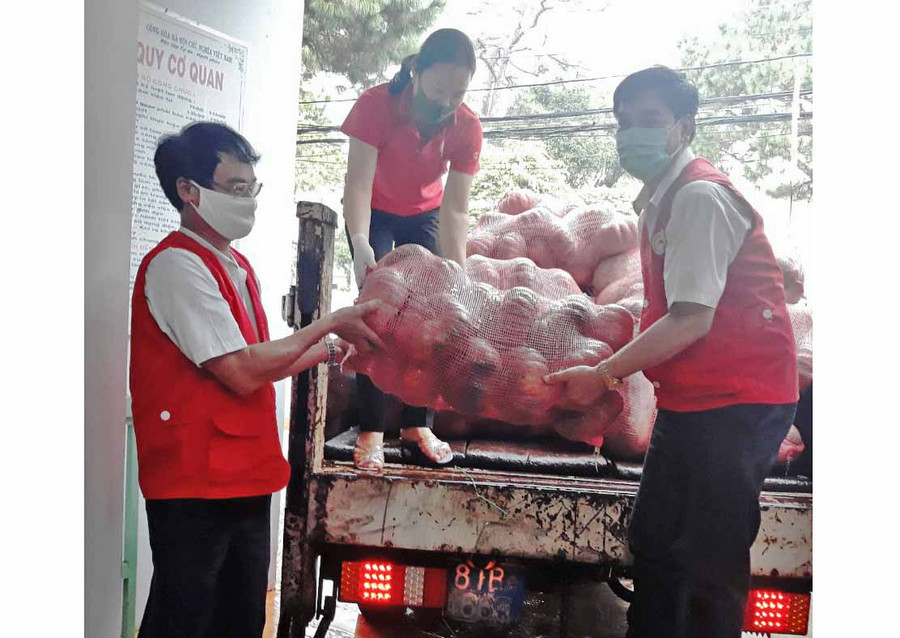 Hội Chữ thập đỏ tỉnh tiếp nhận rau củ quả hỗ trợ người dân vùng dịch. Ảnh: Hồng Ngọc Hội Chữ thập đỏ tỉnh tiếp nhận rau củ quả hỗ trợ người dân vùng dịch. Ảnh: Hồng Ngọc