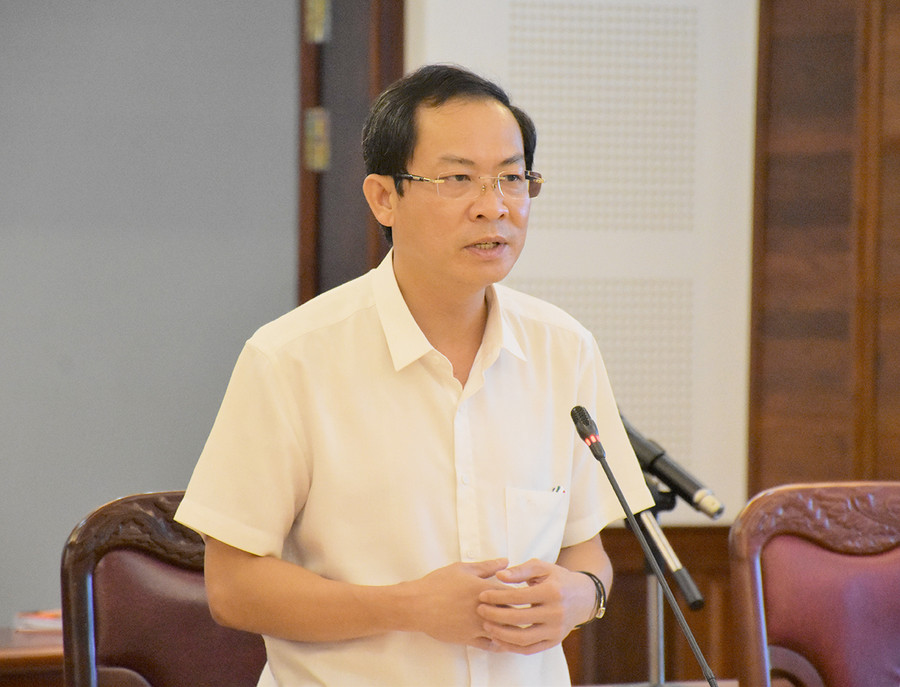  Phó Chủ tịch UBND tỉnh Đỗ Tiến Đông phát biểu chỉ đạo tại hội nghị. Ảnh: Trần Dung