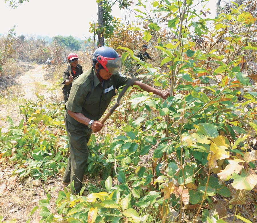  Lực lượng thường trực PCCC rừng tuần tra cảnh gác lửa rừng. Ảnh: T.Đ