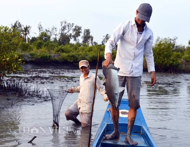 Niềm vui bắt được những con cá lớn