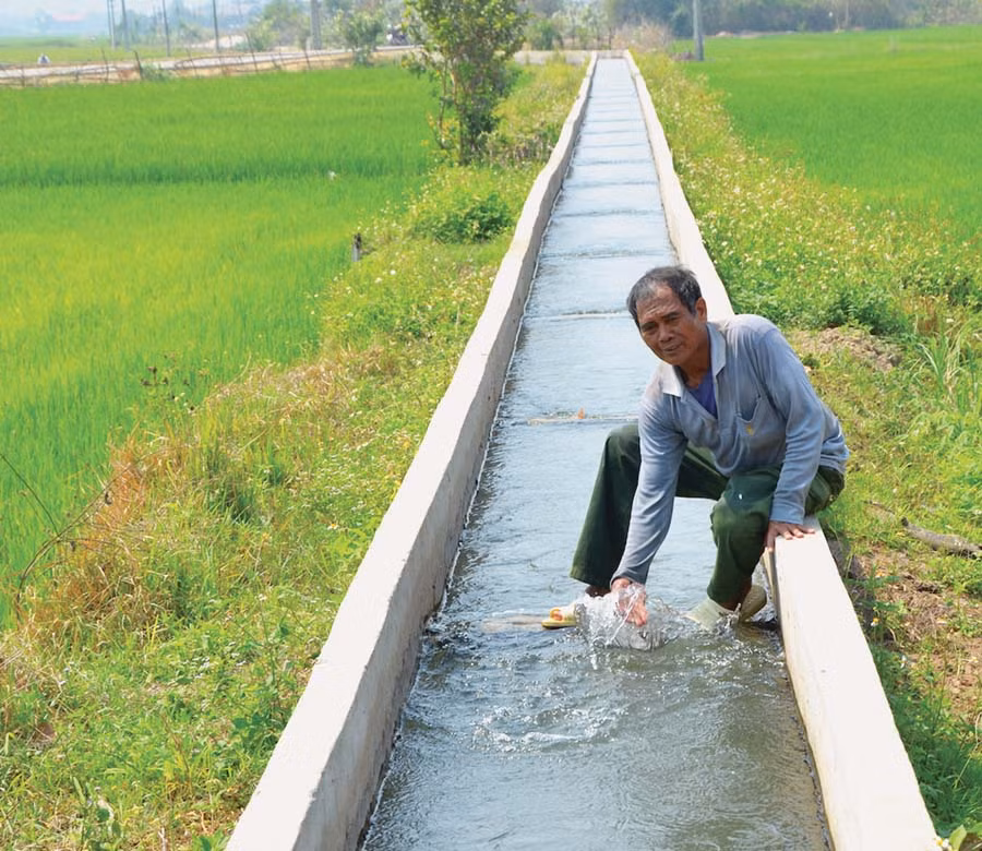  Sử dụng tiết kiệm nguồn nước tưới để chống hạn cho lúa Đông Xuân. Ảnh: Đ.P