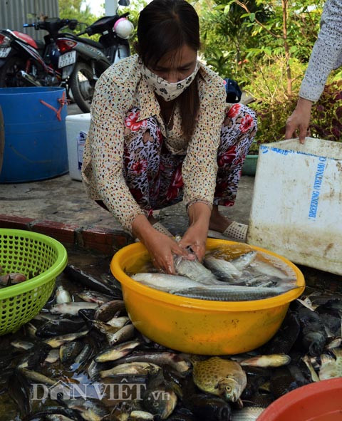 Rồi rửa sạch để đem ra chợ bán