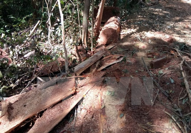 Ảnh minh họa Ảnh minh họa