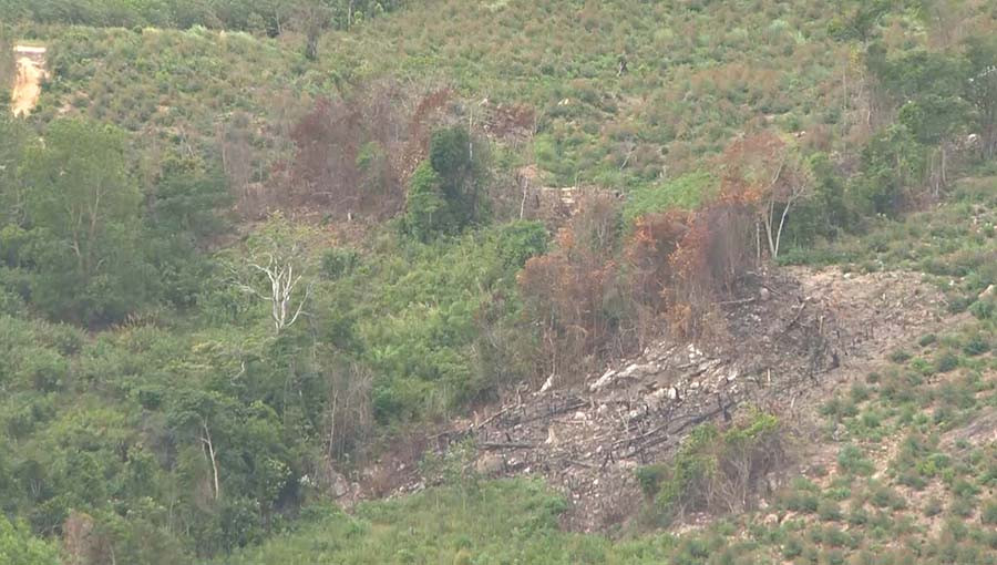 Tình trạng lấn chiếm đất rừng của người dân vẫn chưa có dấu hiệu dừng lại một khi các đơn vị này còn buông lỏng trong công tác quản lý. Ảnh: M.N Tình trạng lấn chiếm đất rừng của người dân vẫn chưa có dấu hiệu dựng lại một khi các đơn vị này còn buông lỏng trong công tác quản lý. Ảnh: M.N
