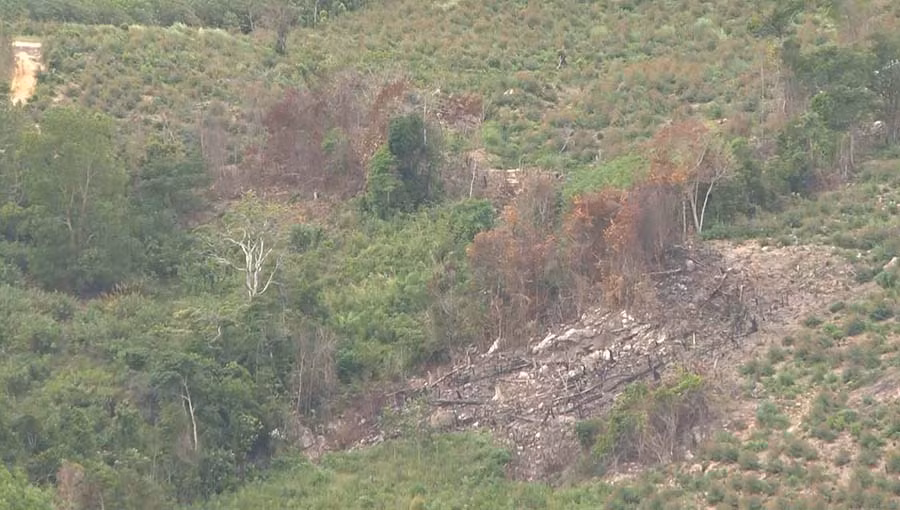 Tình trạng lấn chiếm đất rừng của người dân vẫn chưa có dấu hiệu dựng lại một khi các đơn vị này còn buông lỏng trong công tác quản lý. Ảnh: M.N