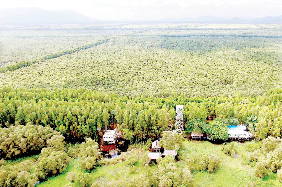 Hệ sinh thái ngập nước quanh năm đã tạo cho nơi đây một sinh cảnh vô cùng độc đáo.