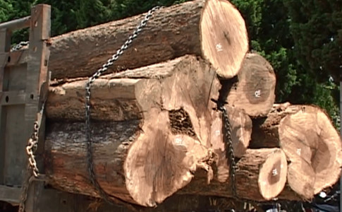 Ô tô tự chế chở gỗ lậu bị đưa về trụ sở Công an huyện Đức Trọng Ô tô tự chế chở gỗ lậu bị đưa về trụ sở Công an huyện Đức Trọng