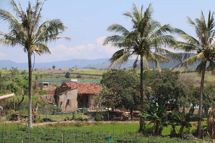 Sự sống đã hồi sinh trên mảnh đất Tân Lập xưa. Ảnh: Trần Dung