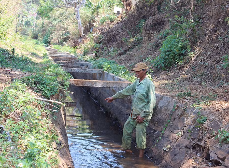  Nguồn nước hiếm hoi còn lại trong kênh chính đập Ia Pết. Ảnh: N.D