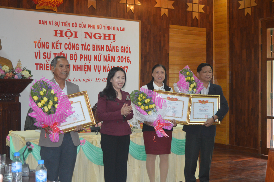 Khen thưởng cá nhân có thành tích trong công tác bình đẳng giới, vì sự tiến bộ phụ nữ. Ảnh: Đ.Y