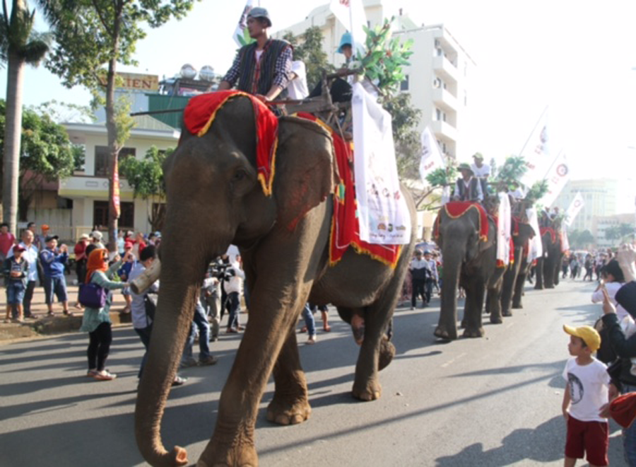 5 chú voi tham gia lễ hội gây phấn khích cho khán giả. Ảnh Văn Ngọc