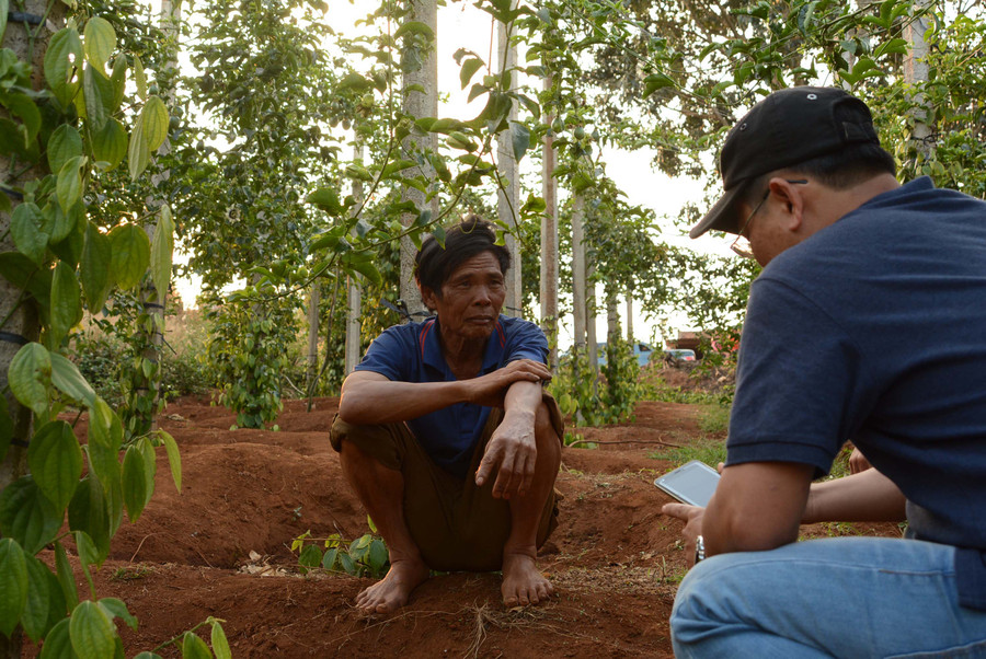 Ông Nã Duy Đán (thôn 3, xã Hải Yang, huyện Đak Đoa) than thở với P.V về việc vườn chanh dây đã qua 7 tháng nhưng chưa thu được quả nào. Ảnh: M.T Ông Nã Duy Đán (thôn 3, xã Hải Yang, huyện Đak Đoa) than thở với P.V về việc vườn chanh dây đã qua 7 tháng nhưng chưa thu được quả nào. Ảnh: M.T