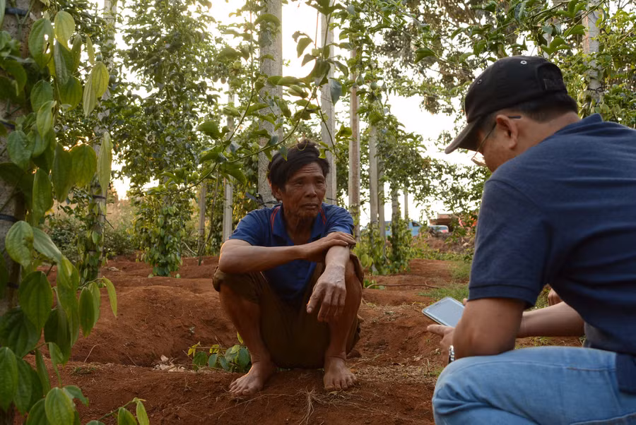 Ông Nã Duy Đán (thôn 3, xã Hải Yang, huyện Đak Đoa) than thở với P.V về việc vườn chanh dây đã qua 7 tháng nhưng chưa thu được quả nào. Ảnh: M.T
