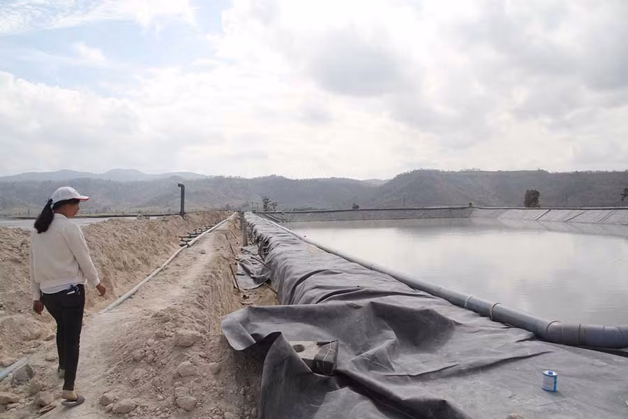  Hồ chứa nước thải chưa được phủ bạt gây nên mùi hôi thối. Ảnh: V.N