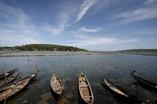 Đầm Ô Loan như một chú chim đang xoải cánh tìm chốn bình yên. Đầm Ô Loan như một chú chim đang xoải cánh tìm chốn bình yên.