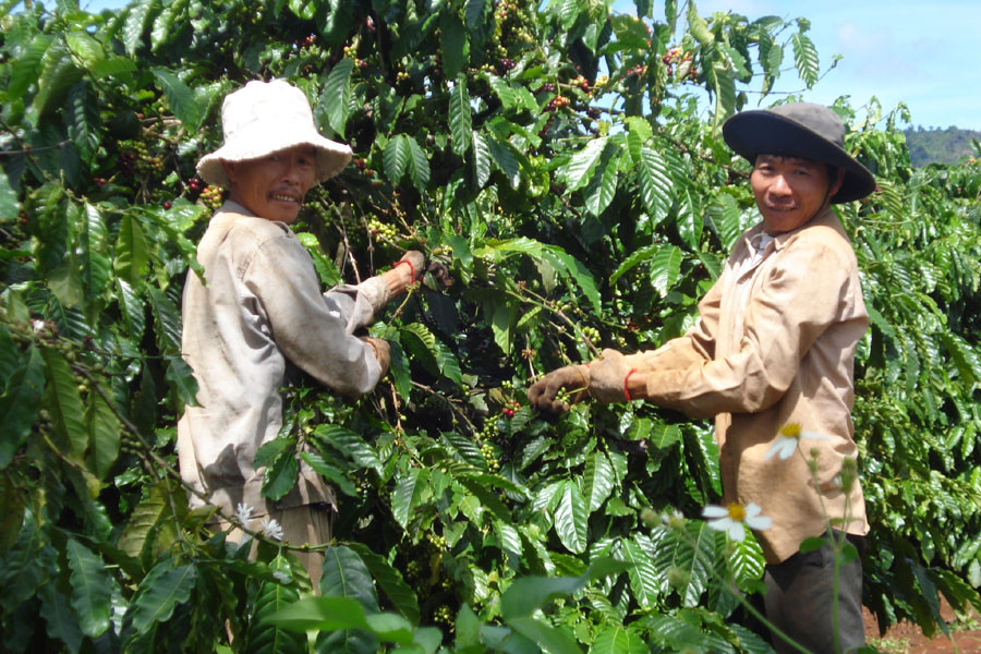 Ảnh: Nguyễn Hồng Ảnh: Nguyễn Hồng