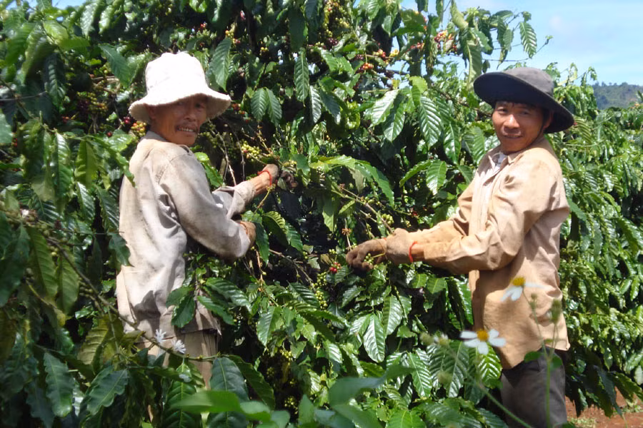 Ảnh: Nguyễn Hồng