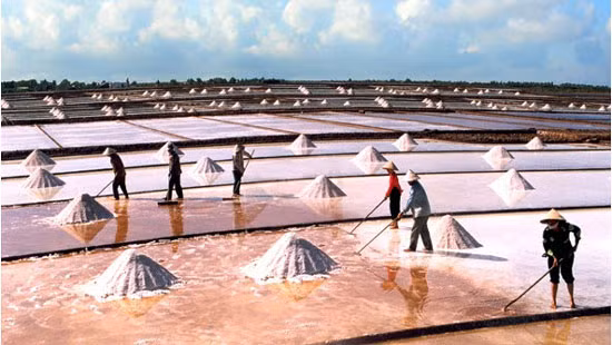 Nguồn thu từ nghề làm muối được miễn thuế thu nhập cá nhân.