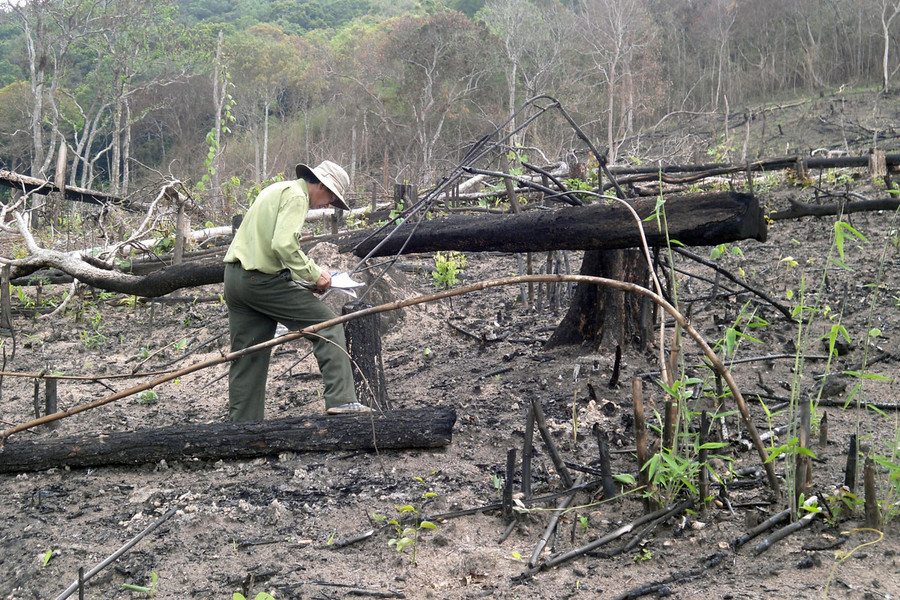 Ảnh: Vĩnh Hoàng Ảnh: Vĩnh Hoàng