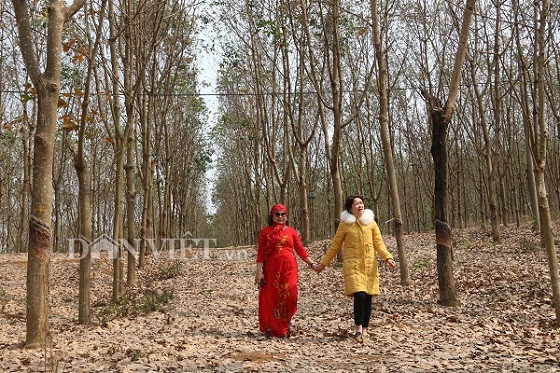 Giữa khung trời mênh mông, con đường nhỏ chạy thắng tắp xuyên qua những cánh rừng rộng bát ngát sẽ khiến du khách thích thú khi chạy xe qua.