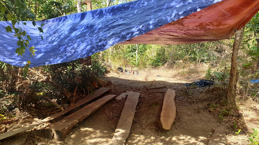 Hình ảnh tại nhà Phân trường 1 do Cty Chư Phả quản lý và một lán trại của lâm tặc. Thời điểm PV có mặt, những nơi này đều không có người xuất hiện. Ảnh: HL