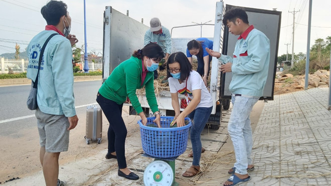 Chuyến dưa đầu tiên về đến điểm “giải cứu” ở ấp Cây Thông Ngoài - ẢNH: HOÀNG TRUNG