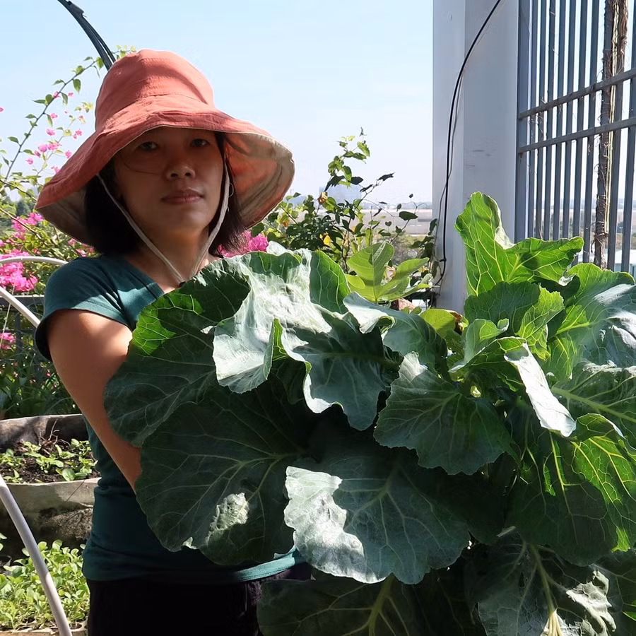  Chị Nguyễn Thùy là 