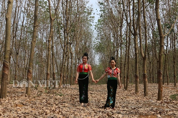  Các thiếu nữ Thái khoác lên mình những bộ trang phục truyền thống rực rỡ xuống chụp ảnh.