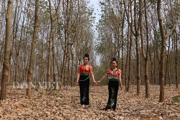  Các thiếu nữ Thái khoác lên mình những bộ trang phục truyền thống rực rỡ xuống chụp ảnh.