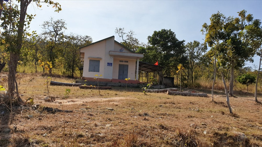 Hình ảnh tại nhà Phân trường 1 do Cty Chư Phả quản lý và một lán trại của lâm tặc. Thời điểm PV có mặt, những nơi này đều không có người xuất hiện. Ảnh: HL