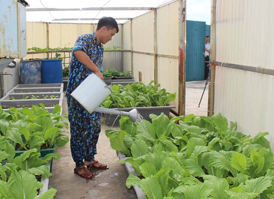 Cán bộ, chiến sĩ chăm sóc rau xanh. Ảnh: N.D  Cán bộ, chiến sĩ chăm sóc rau xanh. Ảnh: N.D