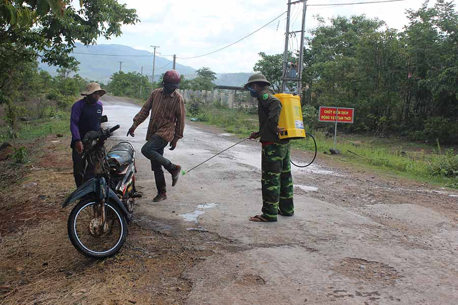  Phun thuốc tiêu độc khử trùng để ngăn ngừa dịch bệnh. Ảnh: N.D
