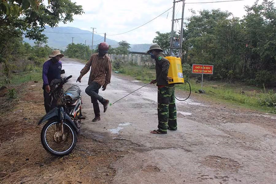  Phun thuốc tiêu độc khử trùng để ngăn ngừa dịch bệnh. Ảnh: N.D