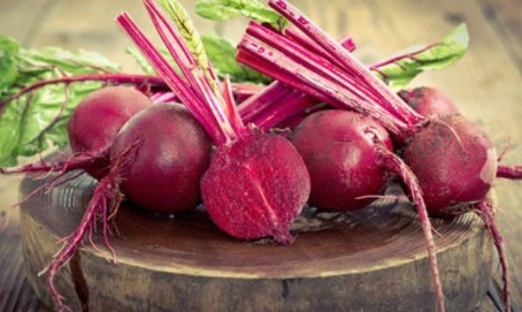 Củ cải đường là 