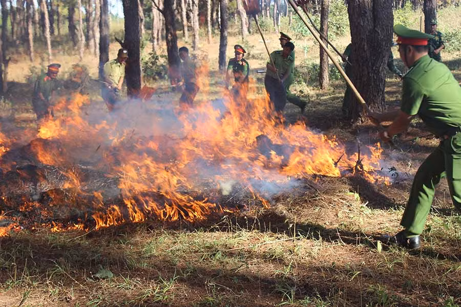  Diễn tập chữa cháy rừng. Ảnh: Đỗ Doanh
