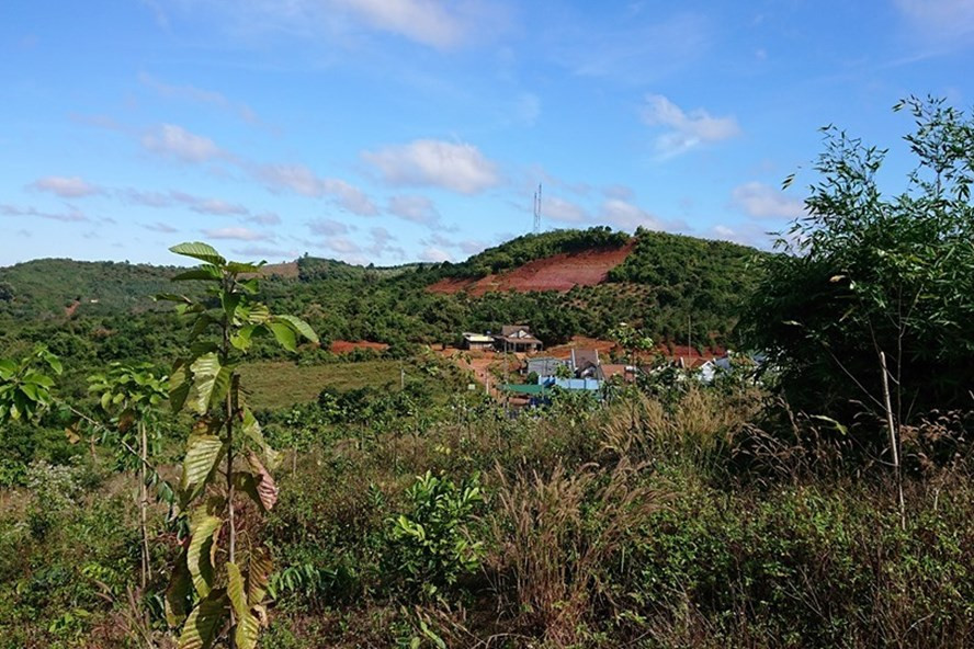 Nơi được chọn làm dự án xây trụ sở cho Đoàn ca múa nhạc dân tộc tỉnh Đắk Nông. Ảnh: LX