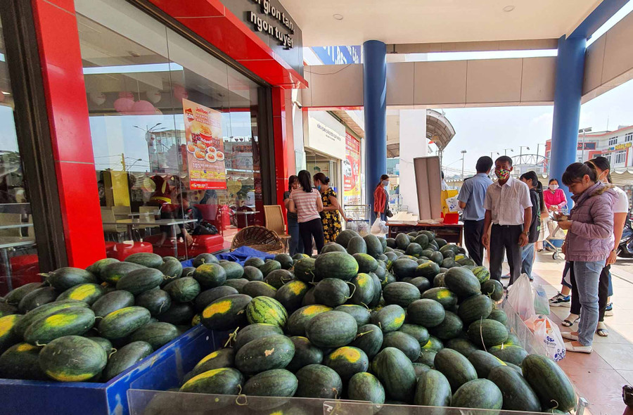 Co.op Mart Pleiku thu mua dưa hấu phát miễn phí cho khách hàng. Ảnh: Vũ Thảo