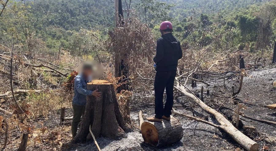 Sau khi phá rừng, lâm tặc đốt trụi toàn bộ cảnh quan xung quanh. Ảnh: HL