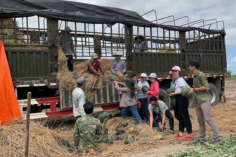  Hội DN trẻ Gia Lai chung tay giải cứu dưa cho bà con. Ảnh: H.Đ.T