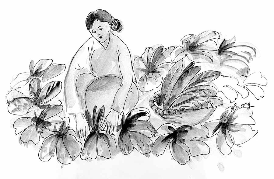  Minh họa: KIM HƯƠNG