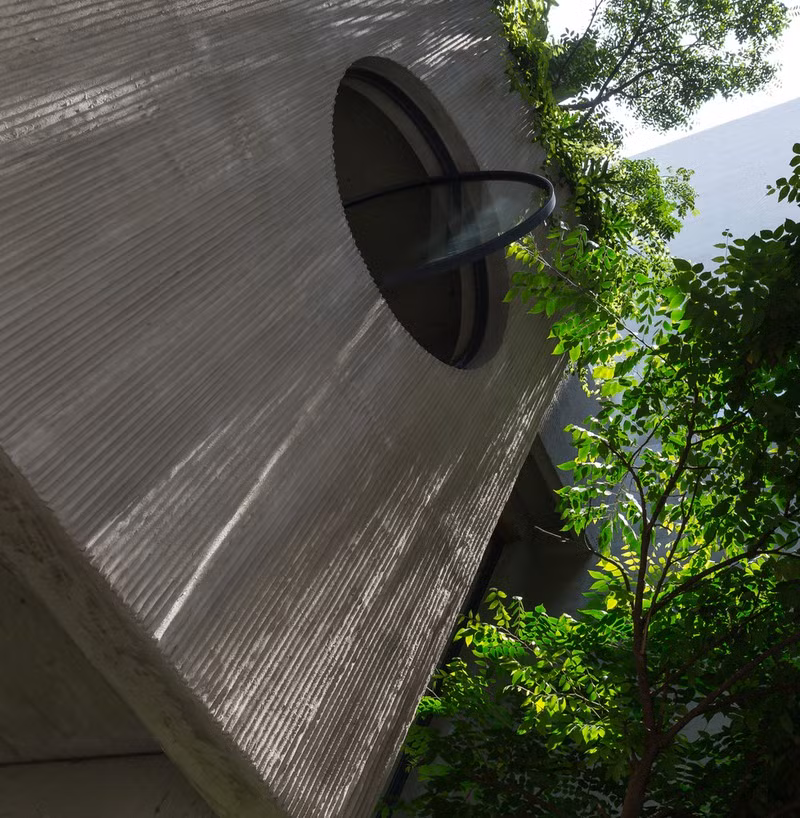 Thiên nhiên là một yếu tố quan trọng, mang lại hiệu quả tích cực cho sức khỏe của các thành viên trong nhà.