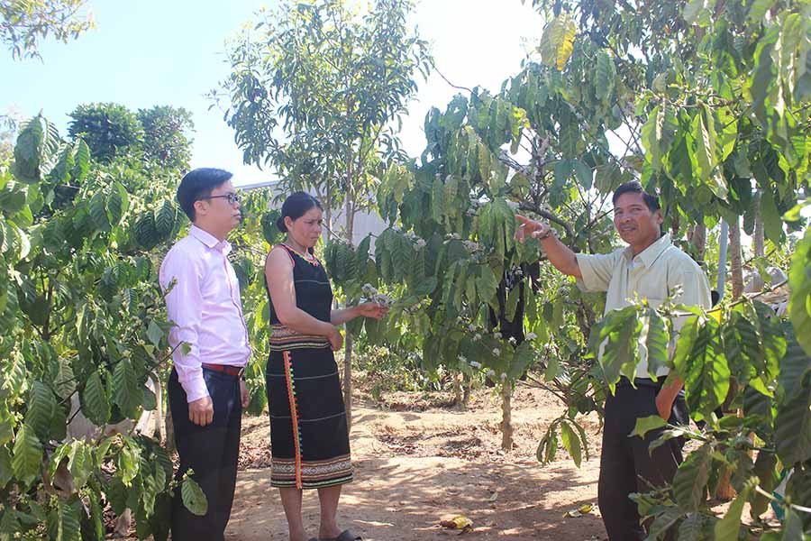  Cán bộ Phòng Giao dịch Ngân hàng Chính sách Xã hội huyện Mang Yang kiểm tra tình hình sử dụng vốn của hộ vay làng Kret Krot (xã Hà Ra). Ảnh: S.C 