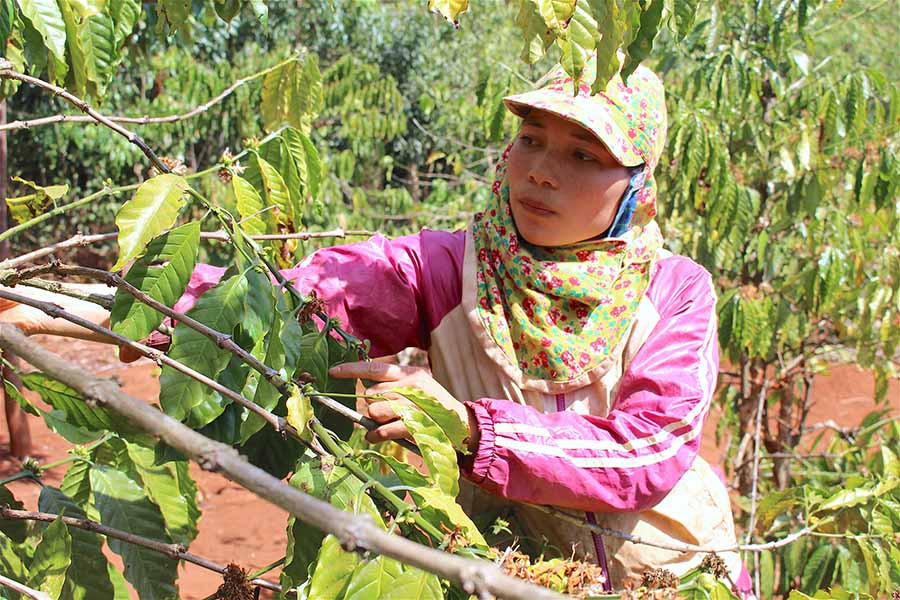 Hàng ngày, chị Alen đi làm thuê để có tiền trang trải cuộc sống gia đình. Ảnh: M.T Hàng ngày, chị Alen đi làm thuê để có tiền trang trải cuộc sống gia đình. Ảnh: M.T