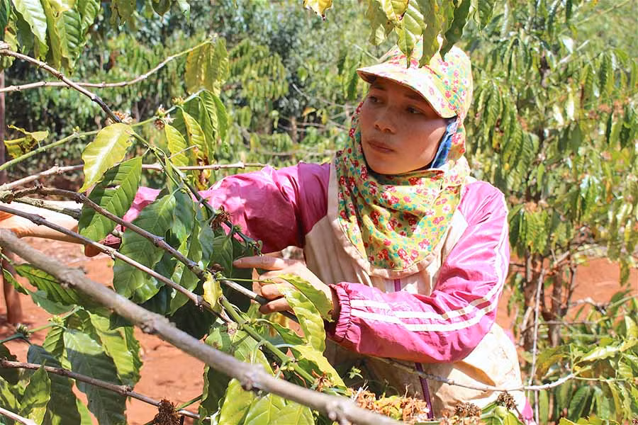  Hàng ngày, chị Alen đi làm thuê để có tiền trang trải cuộc sống gia đình. Ảnh: M.T