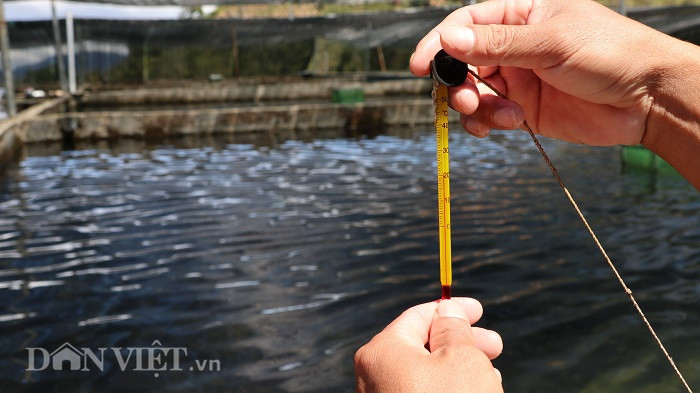 Nhiệt kế được treo ở những hồ nuôi cá tầm để biết chính xác nhiệt độ trong hồ vào từng thời điểm khác nhau.