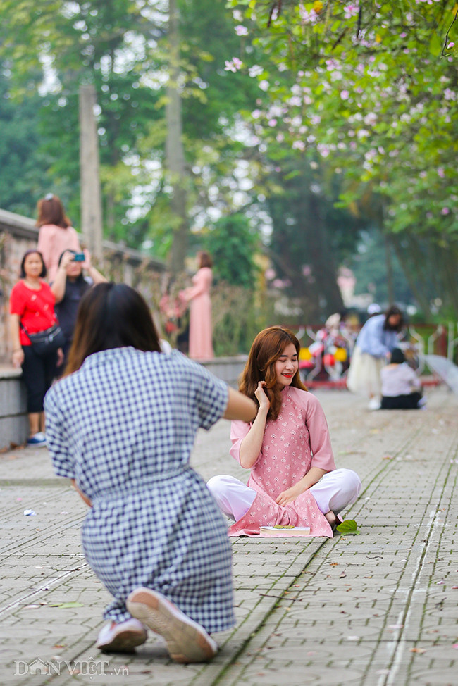 Không phải loài hoa đặc trưng của Hà Nội nhưng hoa ban được người dân Thủ đô yêu mến và coi như một dấu hiệu tốt đẹp hơn mà mùa xuân mang tới. Không phải loài hoa đặc trưng của Hà Nội nhưng hoa ban được người dân Thủ đô yêu mến và coi như một dấu hiệu tốt đẹp hơn mà mùa xuân mang tới.
